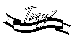 toeyz logo